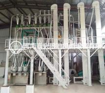 15噸級(jí)玉米加工機(jī)械