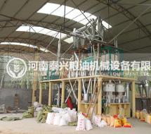 20噸級玉米加工設備