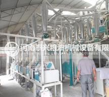 玉米黃金粉加工設備