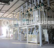 玉米高筋粉加工設備