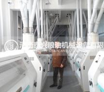 300噸級面粉加工設備機組